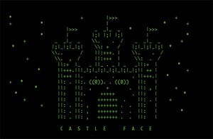 Castle Face Records